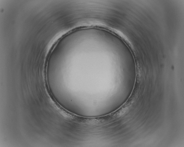 X0000077410943200611101842