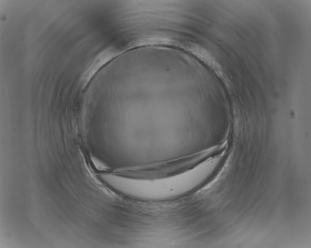 X0000077410945200611101842