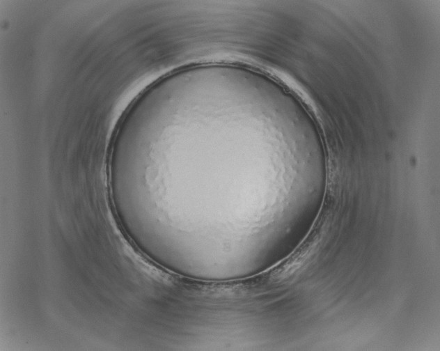X0000077410951200611101842
