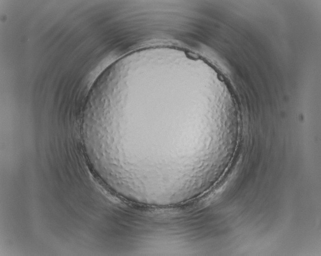 X0000077410953200611101842