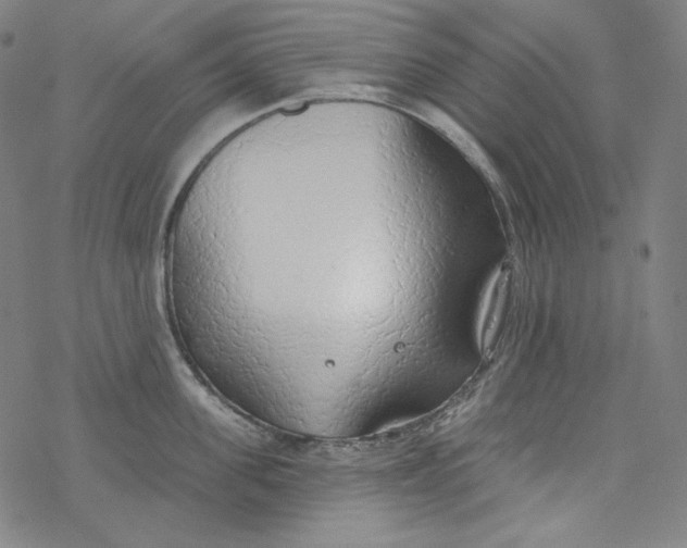 X0000077410955200611101842