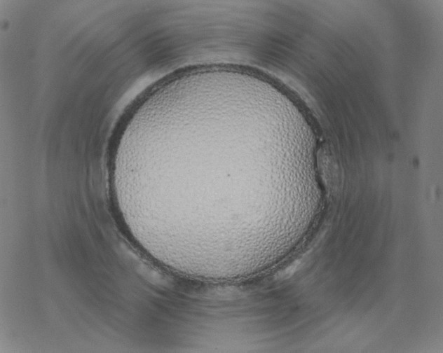 X0000077410982200611101841