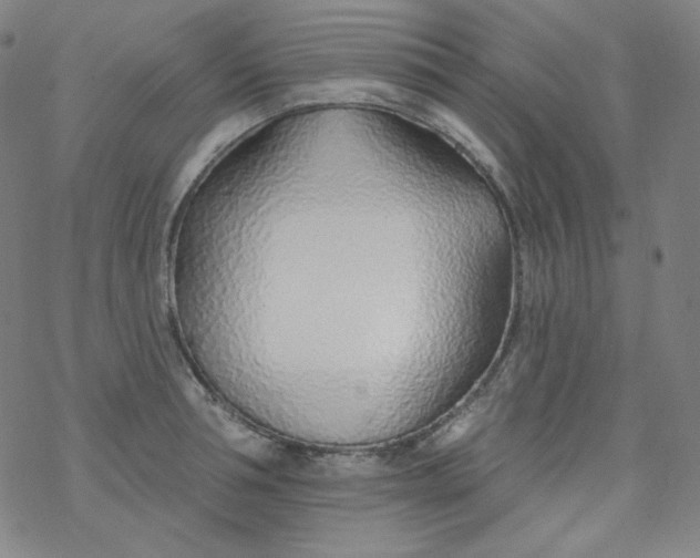 X0000077410994200611101840