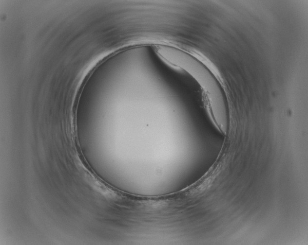 X0000077410996200611101840