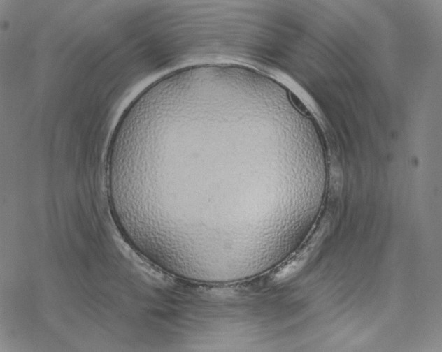 X0000077411004200611101840