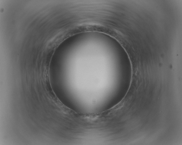 X0000077411014200611101840