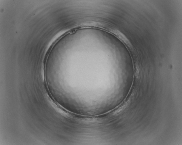X0000077411036200611101840