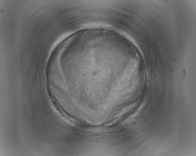X0000077411045200611101840