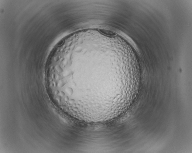 X0000077411051200611101840