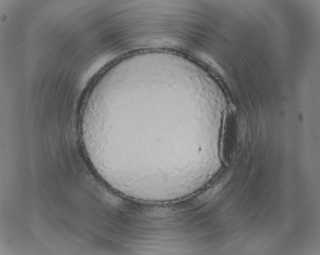 X0000077411071200611101839