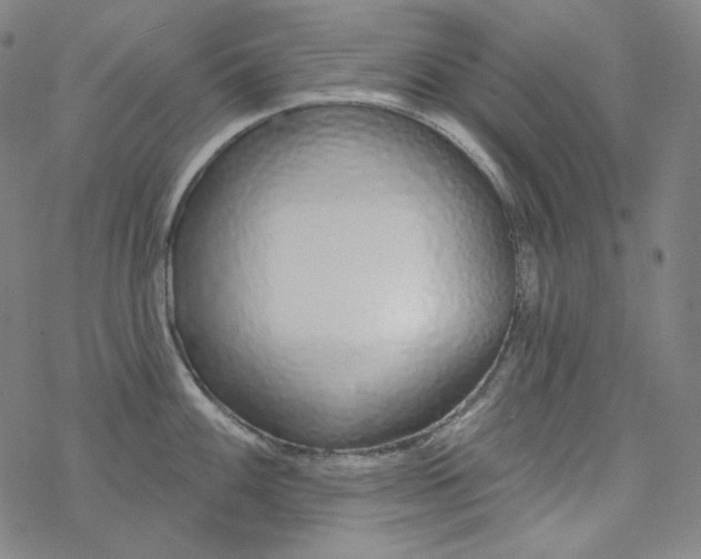X0000077411100200611101839