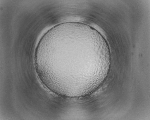 X0000077411104200611101839