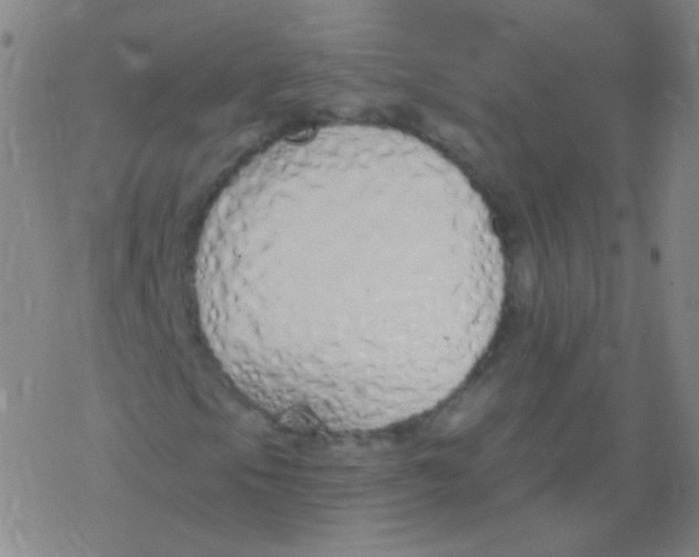 X0000077411105200611101838