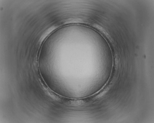 X0000077411129200611101838