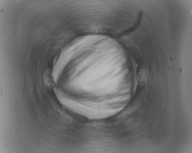 X0000077411202200611101836