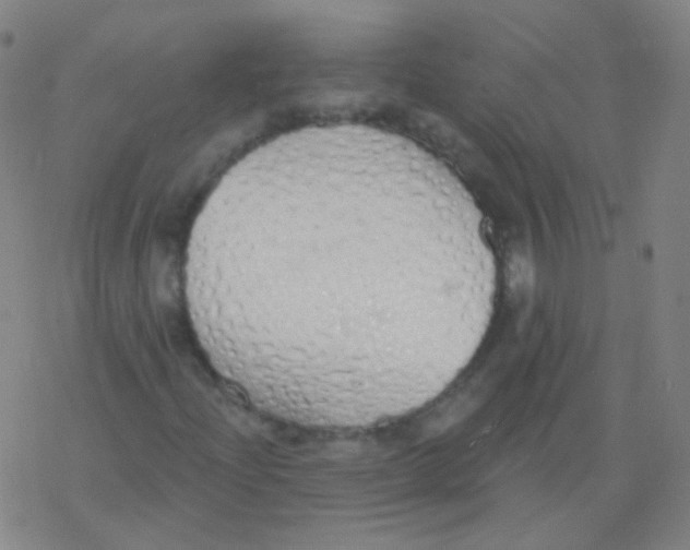 X0000077411204200611101836