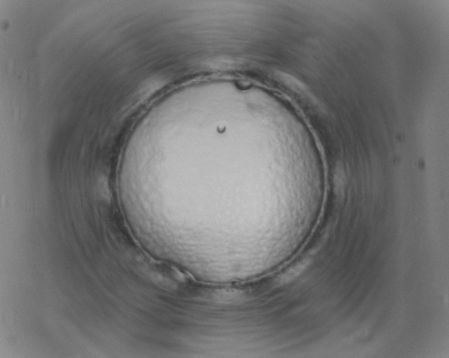 X0000077411209200611101836