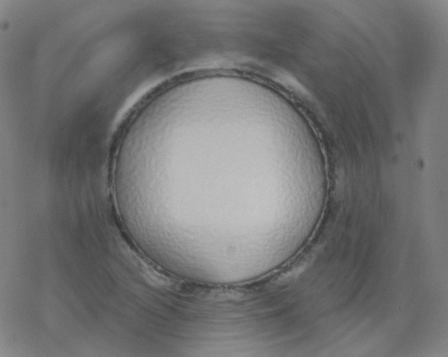 X0000077411216200611101837