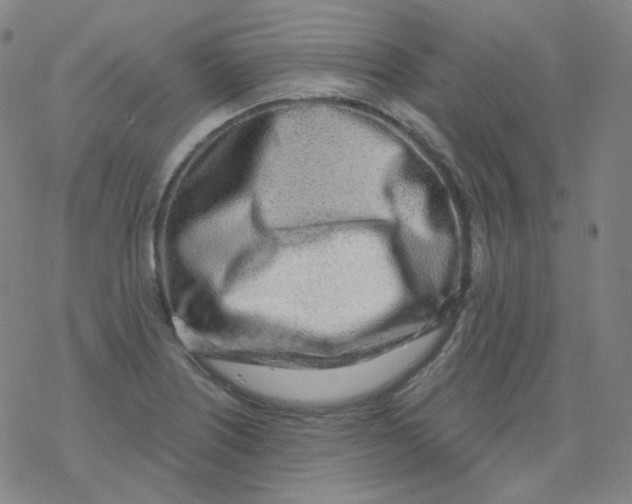 X0000077411226200611101837