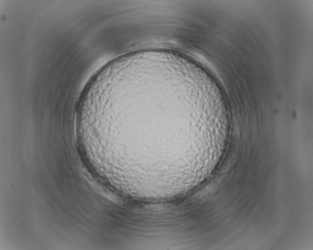 X0000077411227200611101837