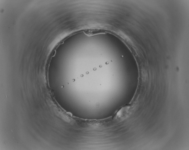 X0000077411230200611101837