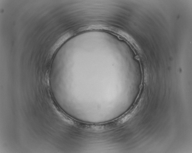 X0000077411241200611101837