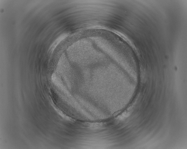 X0000077411289200611101836