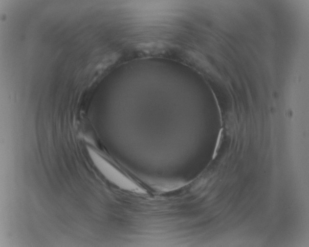 X0000077411298200611101835