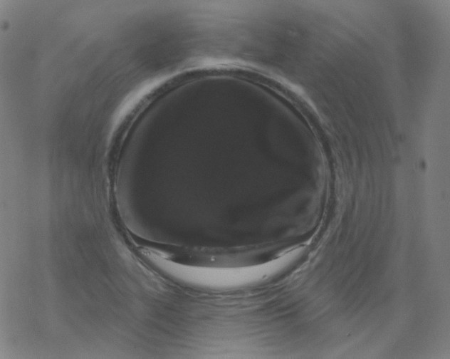 X0000077411319200611101835