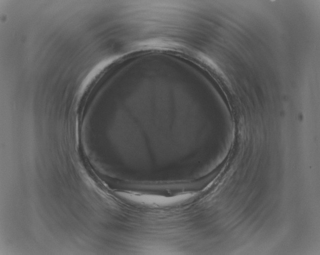 X0000077411323200611101835