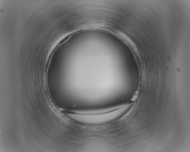 X0000077411340200611101835