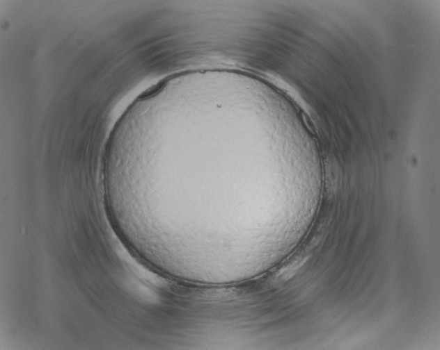 X0000077411387200611101834