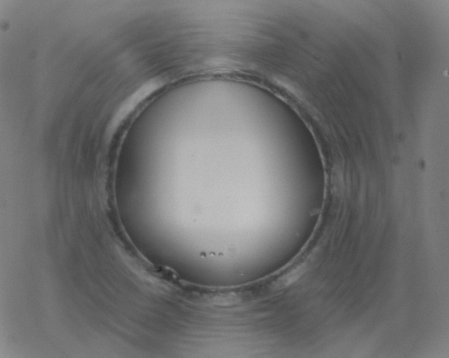 X0000077411410200611101833