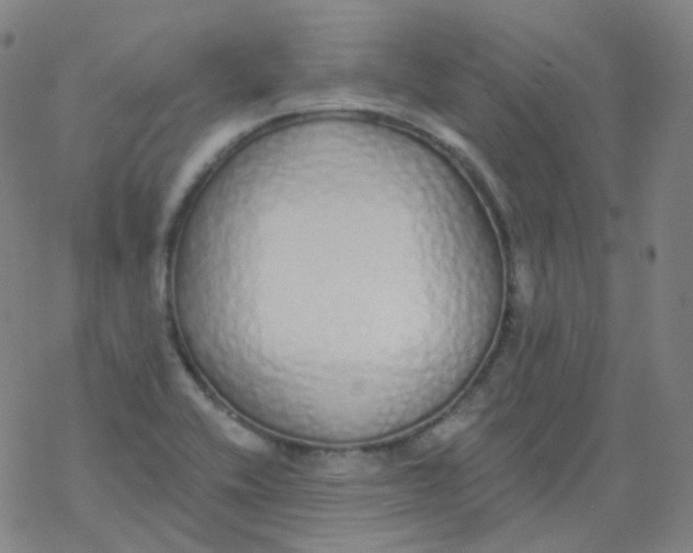 X0000077411416200611101834