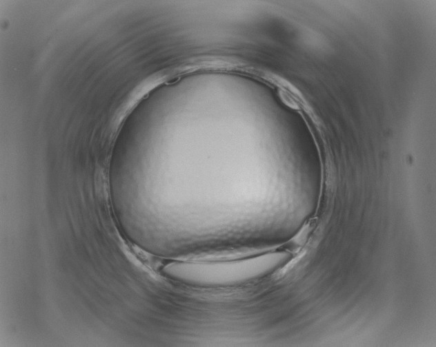 X0000077411433200611101834