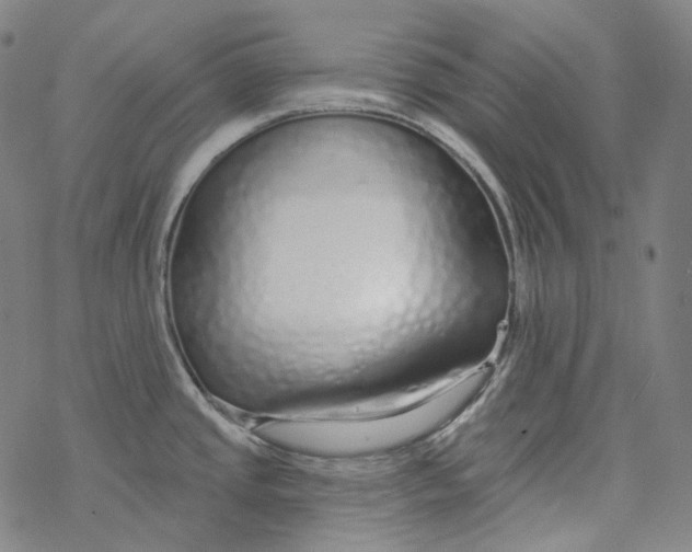 X0000077411437200611101834