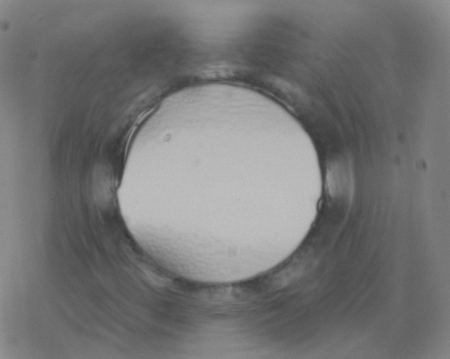 X0000077411444200611101833