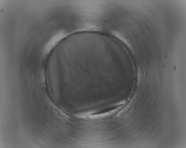 X0000077411455200611101833
