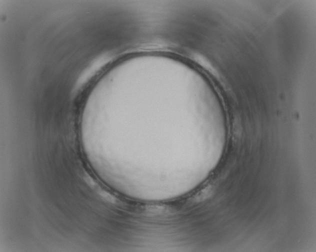X0000077411456200611101833