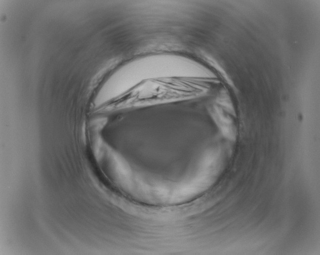 X0000077410019200611172140