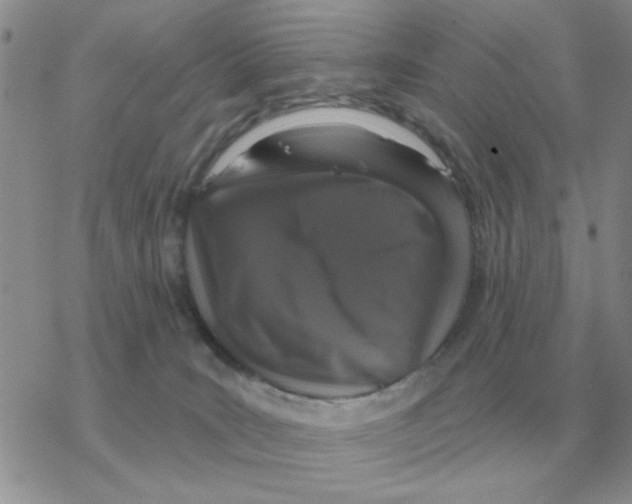 X0000077410035200611172140