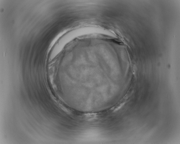 X0000077410052200611172139