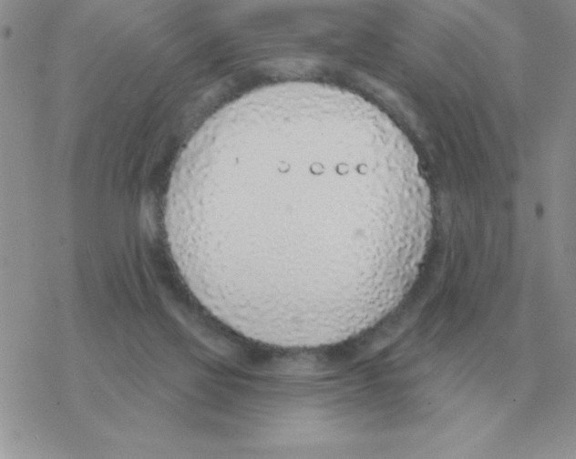 X0000077410069200611172139