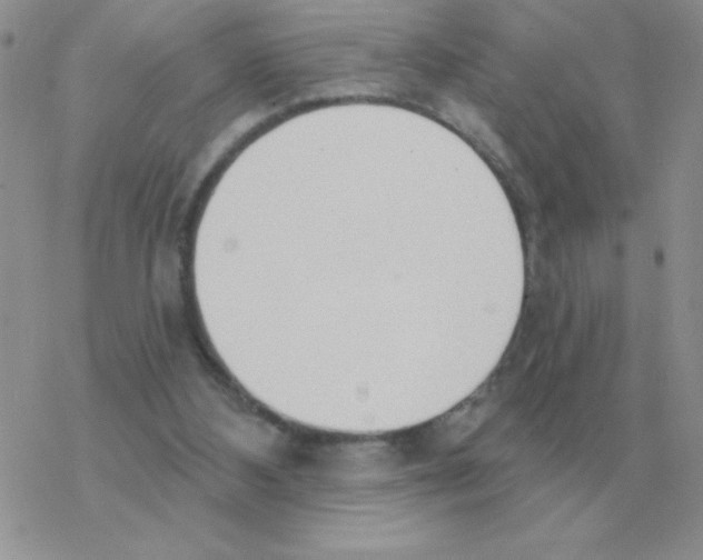X0000077410108200611172139