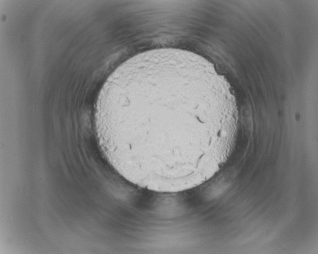 X0000077410127200611172139