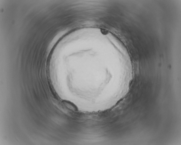 X0000077410147200611172138