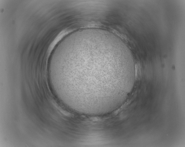 X0000077410195200611172137