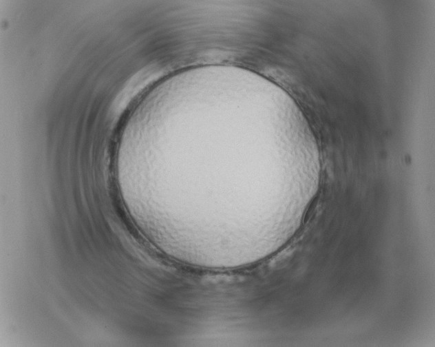 X0000077410242200611172136