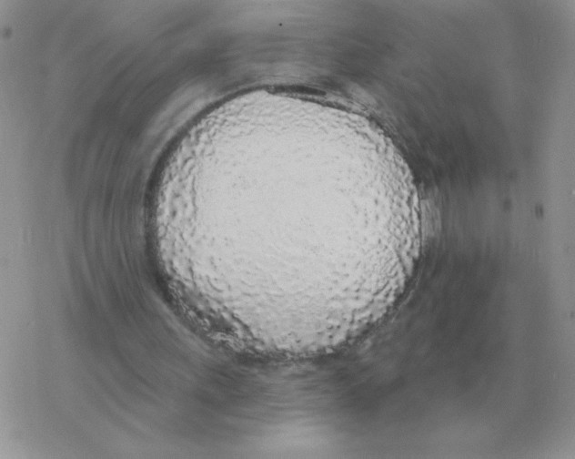 X0000077410243200611172136