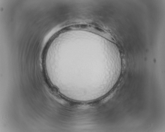 X0000077410246200611172136